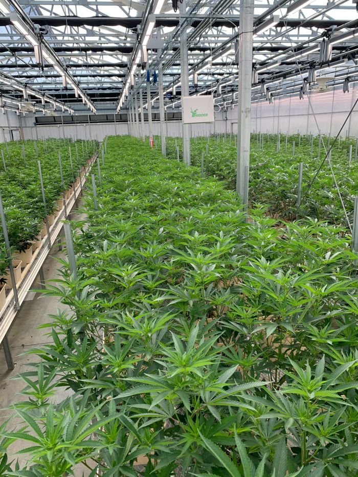 Midwest Hybrid Greenhouse